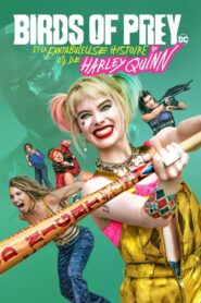 Birds of Prey et la fantabuleuse histoire de Harley Quinn (2020)