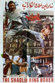 鐵拳 (1979)