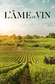 L’âme du vin (2019)