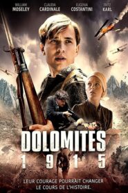 Dolomites 1915 (2014)