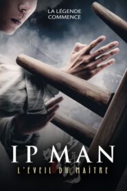 Ip Man : L’Éveil du Maître (2021)
