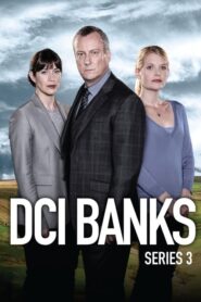DCI Banks (2011): Temporada 3
