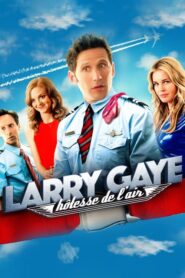 Larry Gaye: hôtesse de l’air (2015)