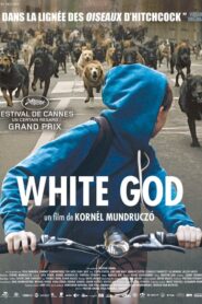 White God (2014)