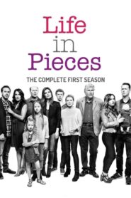 Life in Pieces (2015): Temporada 1