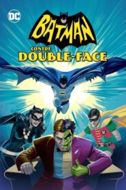 Batman contre Double-Face (2017)