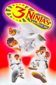 Ninja Kids 3 : Les 3 Ninjas se révoltent (1995)
