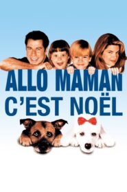 Allô maman, c’est Noël (1993)