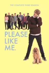 Please Like Me (2013): Temporada 3