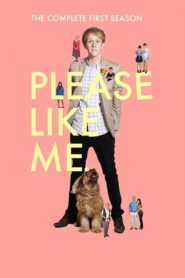 Please Like Me (2013): Temporada 1
