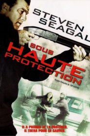 Sous haute protection (2009)