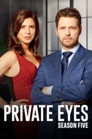 Private Eyes (2016): Temporada 5