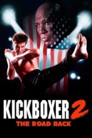 Kickboxer 2 :  Le Successeur (1991)