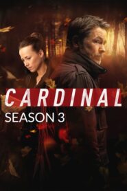 Cardinal (2017): Temporada 3