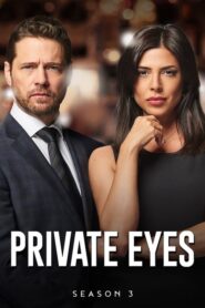 Private Eyes (2016): Temporada 3