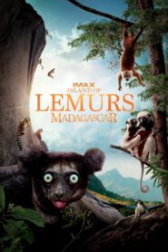 IMAX L’ile des lémuriens : Madagascar (2014)