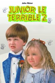 Junior le terrible 2 (1991)