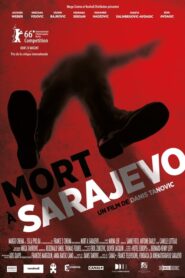 Mort à Sarajevo (2016)