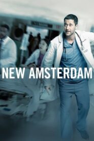 Hôpital New Amsterdam (2018): Temporada 1