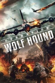 Opération Wolf Hound (2022)