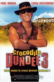 Crocodile Dundee III (2001)