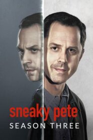 Sneaky Pete (2015): Temporada 3