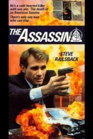 The Assassin (1990)